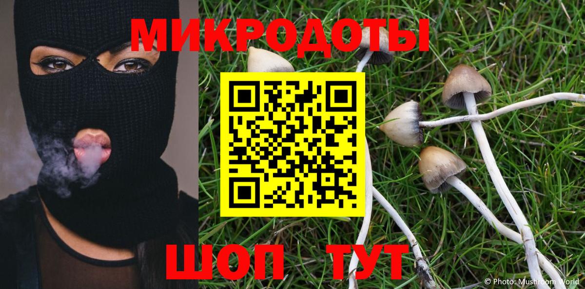 Галлюциногенные грибы мухоморы  Вход с VPN  Шали 